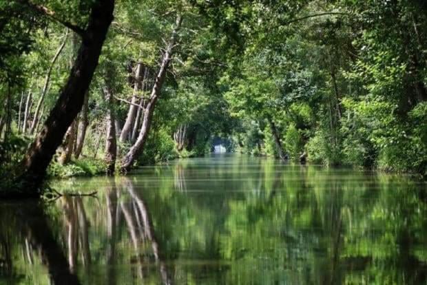 Bed and Breakfast Ocean Campagne Liberte Aigrefeuille-dʼAunis Zewnętrze zdjęcie